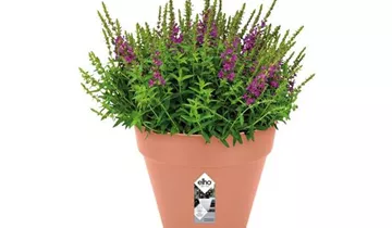 1A Garten Ammer