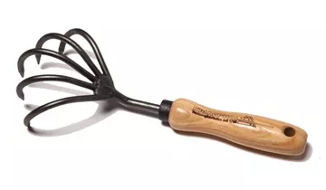 Zum Vergrößern klicken Bildvorschau