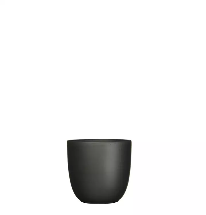 MICA Decorations