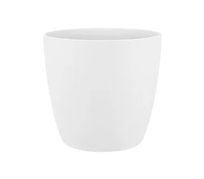 Brussels rund weiss Brussels rund weiss