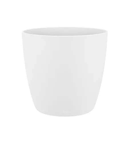 Brussels rund weiss Brussels rund weiss