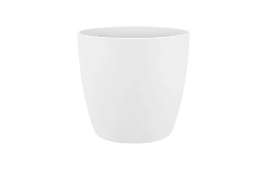 Brussels rund weiss Brussels rund weiss