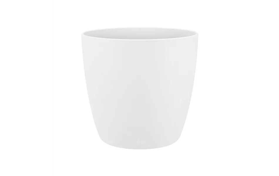 Brussels rund weiss Brussels rund weiss