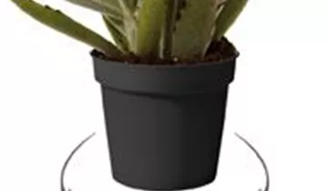 Zum Vergrößern klicken Bildvorschau