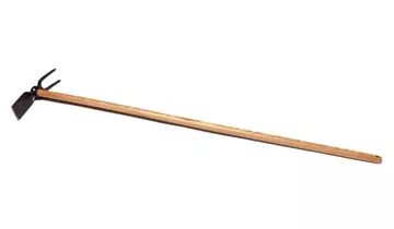 Bildvorschau