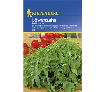 Löwenzahn mehrjährig