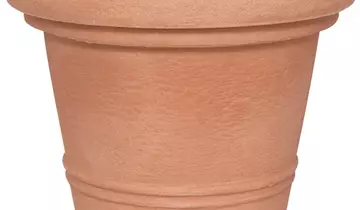 Bildvorschau