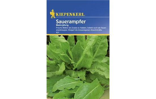 Sauerampfer mehrjährig