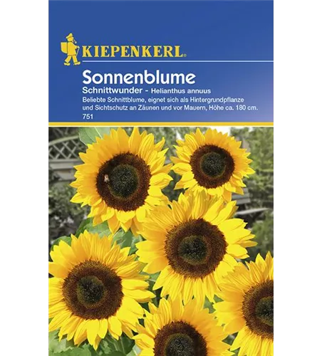 Sonnenblume Schnittwunder