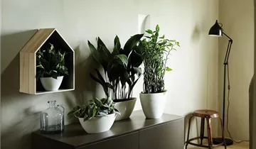 1A Garten Ammer 1A Garten Ammer