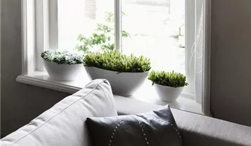 1A Garten Ammer 1A Garten Ammer