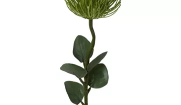 1A Garten Ammer