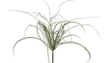 1A Garten Ammer