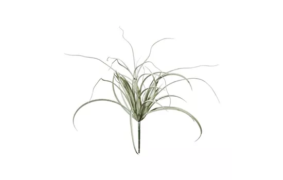 Seegrasbusch 52cm grau