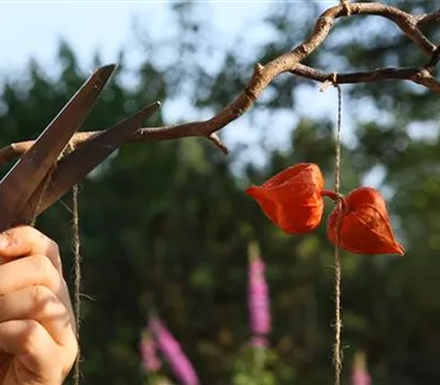 Ein herbstliches Windspiel basteln