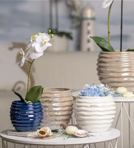 Kübel Lerida creme Kübel Lerida creme