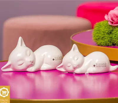 Katze Sadira liegend creme