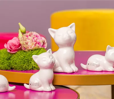 Katze Sadira sitzend creme