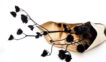 1A Garten Ammer 1A Garten Ammer