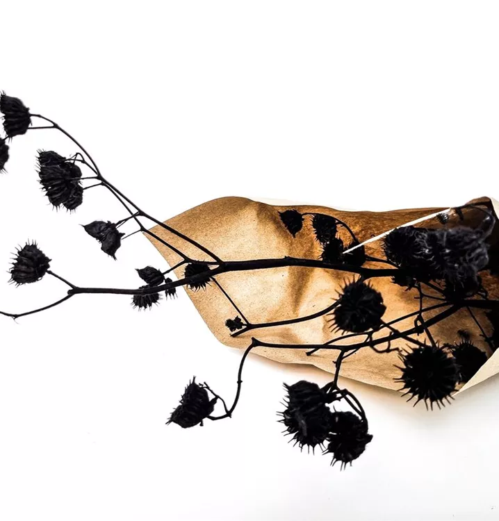 Home Decoration Home Decoration