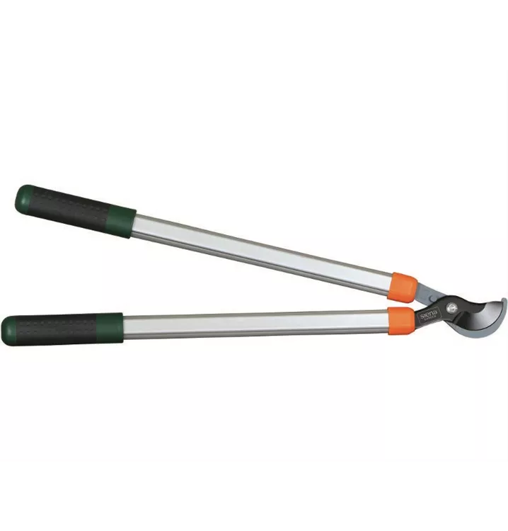 Siena Garden Siena Garden