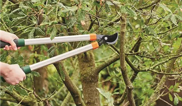 Zum Vergrößern klicken Bildvorschau