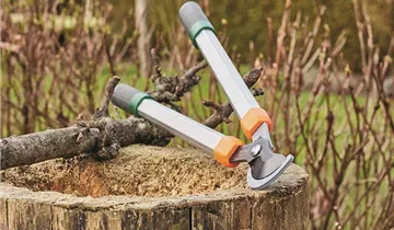 Zum Vergrößern klicken Bildvorschau