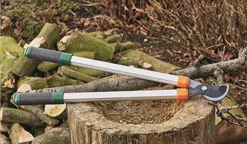 Zum Vergrößern klicken Bildvorschau