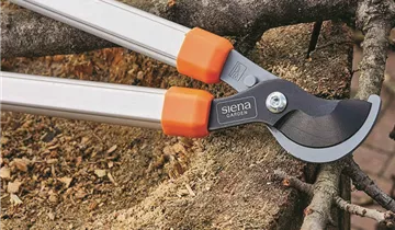 Zum Vergrößern klicken Bildvorschau