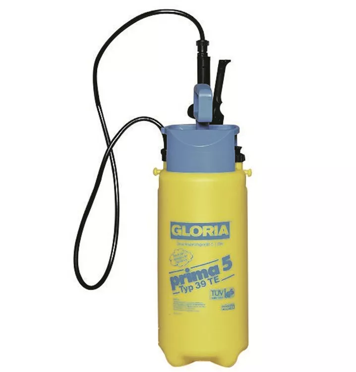 Gloria
