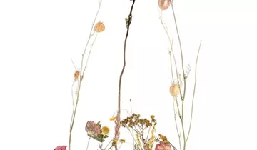 1A Garten Ammer 1A Garten Ammer