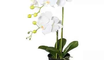 1A Garten Ammer 1A Garten Ammer