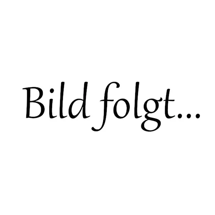 Bild folgt.jpg