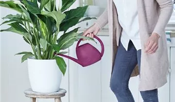 1A Garten Ammer 1A Garten Ammer