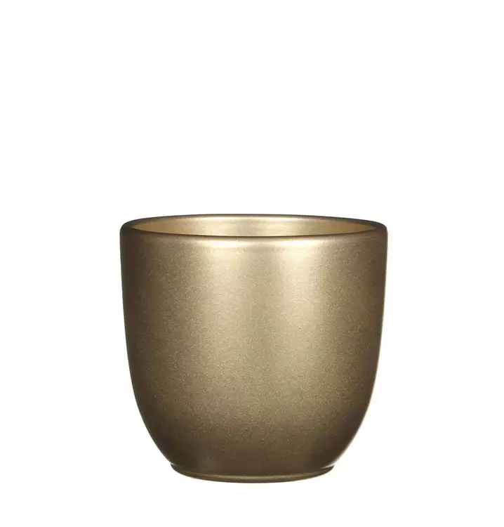 MICA Decorations