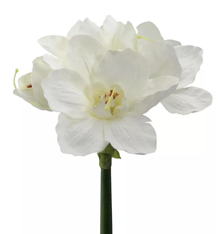 Home Decoration Home Decoration