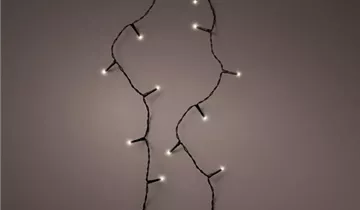 1A Garten Ammer 1A Garten Ammer