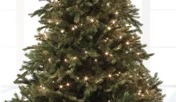 1A Garten Ammer 1A Garten Ammer