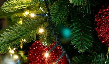 1A Garten Ammer 1A Garten Ammer