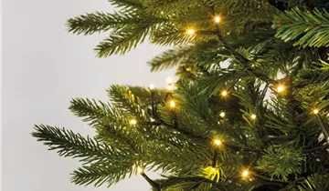 1A Garten Ammer 1A Garten Ammer