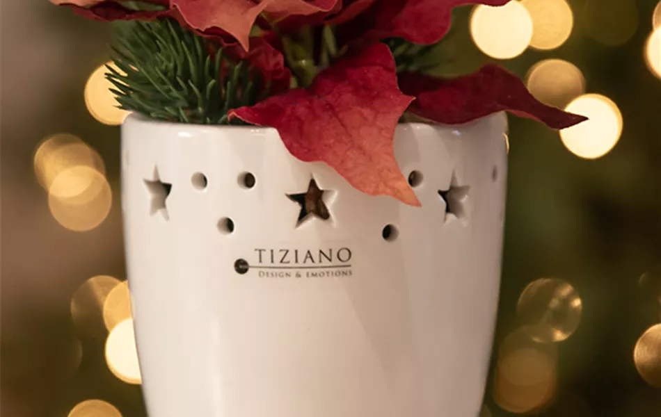 Kübel Aventino creme Kübel Aventino creme