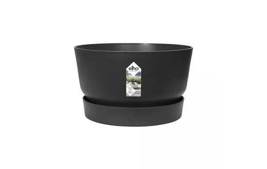 Greenville schale living schwarz