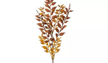 1A Garten Ammer 1A Garten Ammer