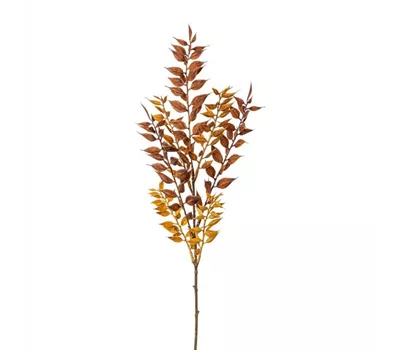 Ruscuszweig 50cm braun Ruscuszweig 50cm braun