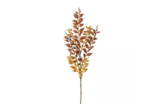 Ruscuszweig 50cm braun