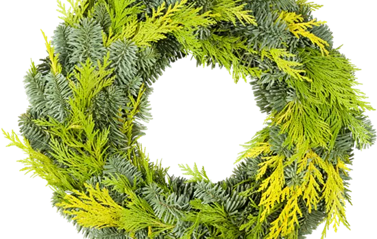 Adventskranz 25cm Koniferen Mix halbgebunden