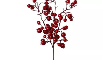 1A Garten Ammer 1A Garten Ammer