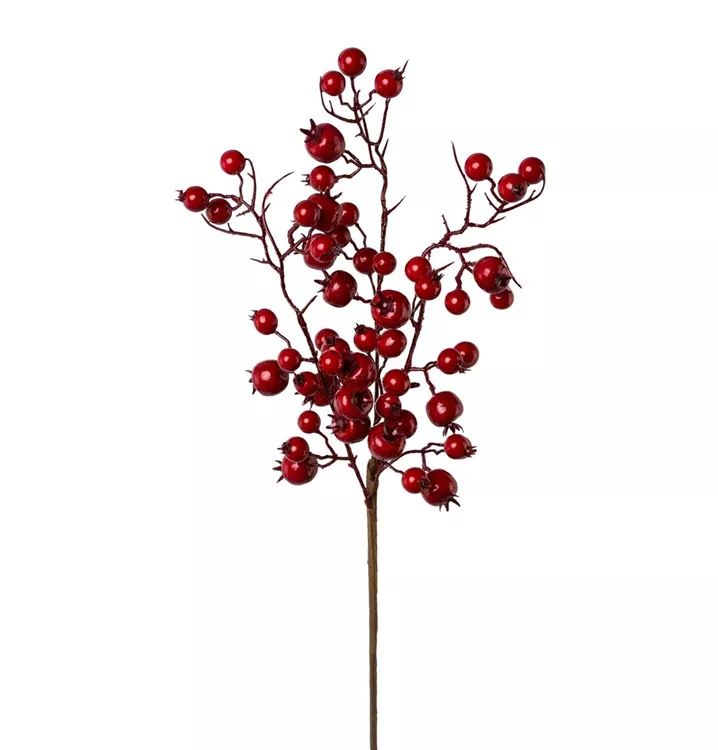 Home Decoration