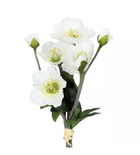 Christrosenarrangement 35cm weiß