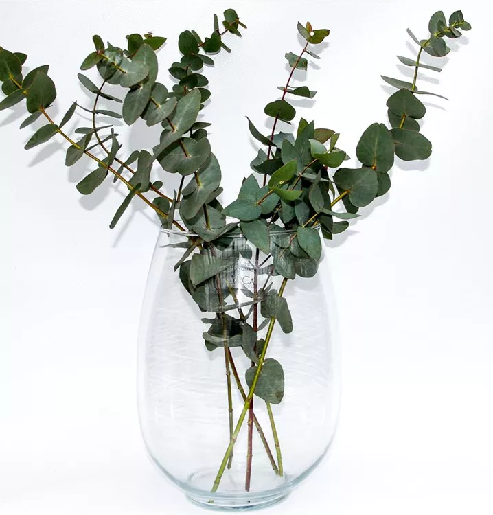 Für die Vase oder zum dekorieren Für die Vase oder zum dekorieren